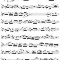 "Betörte Welt", Aria, No. 4 from Cantata No. 94: "Was frag' ich nach der Welt" - Flute