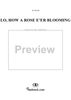 Lo, How a Rose E'er Blooming