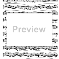 Preliminary studies to 'The Accomplished Clarinettist' Vol. 3 - Clarinet