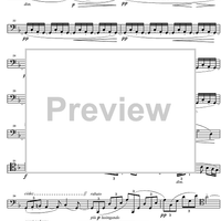 Sonata d minor - Cello