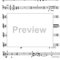 Godalni Quartet - Violin 2