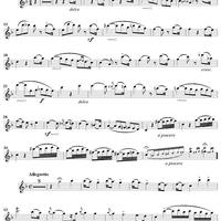 Divertissement sur un Theme de Donizetti    - op. 60 - Flute