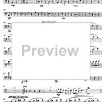 Carmen pro carmine - aria con variazioni - Cello