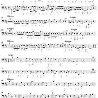Concerto Grosso No. 1 in D Major, Op. 6, No. 1 - Continuo