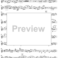 Serenata No. 3 in G Major - Violin 1