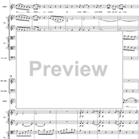 "Ruhe sanft, mein holdes Leben", No. 3 from "Zaide", Act 1, K336b (K344) - Full Score