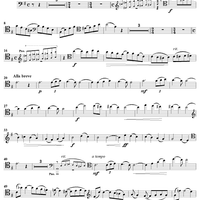 String Bass Concerto - Bass