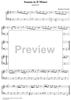 Sonata in D minor    (K34/P15/LS7)