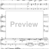 Double Piano Concerto No. 10 in E-flat Major, K316a (K365), Movement 1