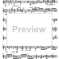 Impromptu No.25 Op.84 - Guitar