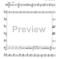 The Flight of the Bumblebee from the opera "Tsar Sultan" - Cello