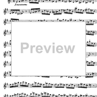 The Accomplished Clarinettist Vol. 1 - Clarinet