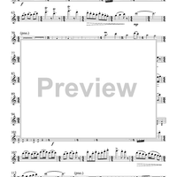 Sonata for Flute and Piano - Flute