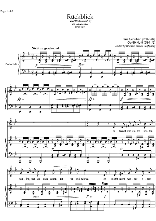 Rückblick Op.89 No. 8 D911