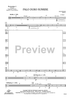Palo Duro Sunrise - Percussion 2