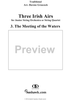 Air No. 3: The Meeting of the Waters - Score