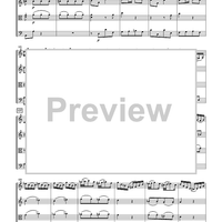 The Violin Concerti - Score