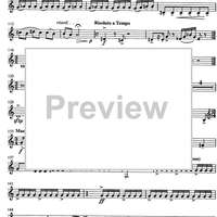 Jarní Hudba (Spring music) - Horn