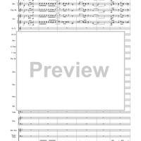 Harry Potter Symphonic Suite - Score