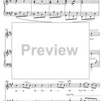 Caccia Lontana - Score