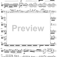 Viola d'Amore Concerto in G Major - Viola