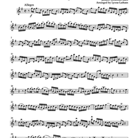 Brandenburg Concerto No. 6 - Violin 2
