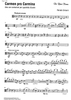 Carmen pro carmine - aria con variazioni - Viola