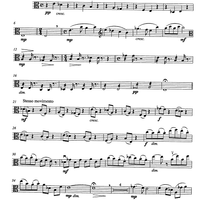 Carmen pro carmine - aria con variazioni - Viola