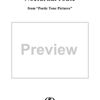 Nocturnal route, No. 1 from "Poetic Tone Pictires", Op. 85