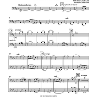 You Must Believe in Spring - Violoncello