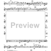 Serenade, Op. 25 for Flute, violin and viola - Flute