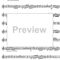 Concerto No. 3 Eb Major KV447 - Horn