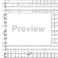 "Tiger! Wetze nur die Klauen", No. 13 from "Zaide", Act 2, K336b (K344) - Full Score