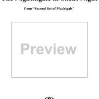 The Nightingale in Silent Night