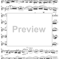 Flute Concerto in G Major - Flute