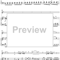 Flute Concerto in G Major - Piano