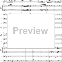 Brandenburg Concerto No. 4: Allegro - Score