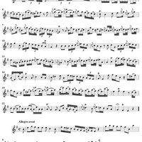 Sonata No. 9 in E Minor - Flute