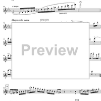 Zigeunerweisen Op.20 - Violin