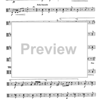 Badner Park Polka Op.65 - Viola