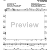 Mille volte il di moro - Flute