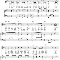 The Spider and the Fly