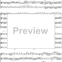 Eine kleine Nachtmusik - Score