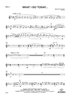 What I Do Today... - Flute 2