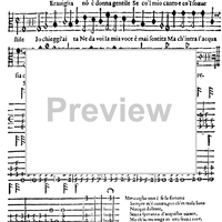 Meraviglia non è, donna gentile