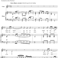 Winterreise (Song Cycle), Op.89, No. 22 - Courage, D911