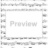 Sonata in E Minor - Flute