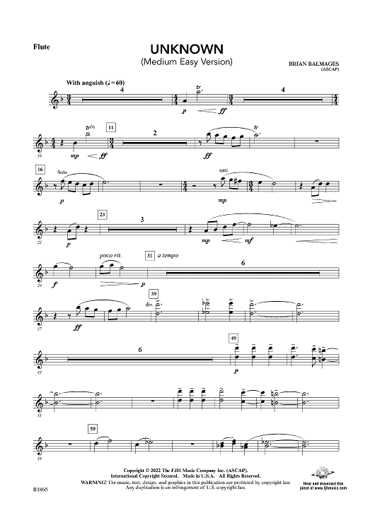 Unknown (Medium Easy Version) - Flute