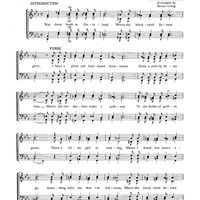 Where The Black Eyed Susans Grow