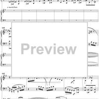 Concert Fantasy. Part 2. Contrastes